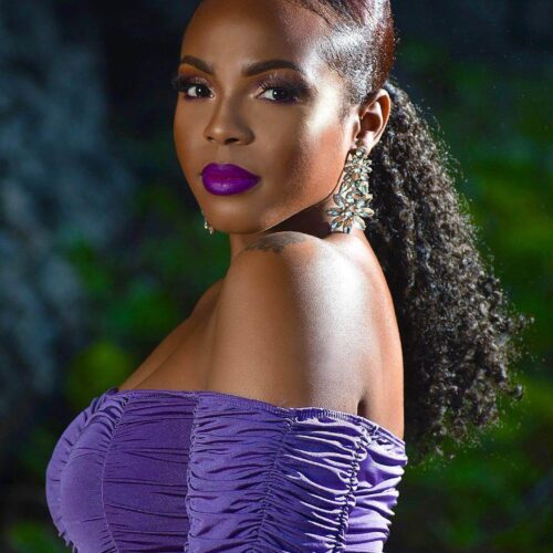 Raw Burma Kinky - Instant Ponytail